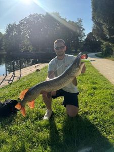 Northern Pike — Kalvin Rathouit