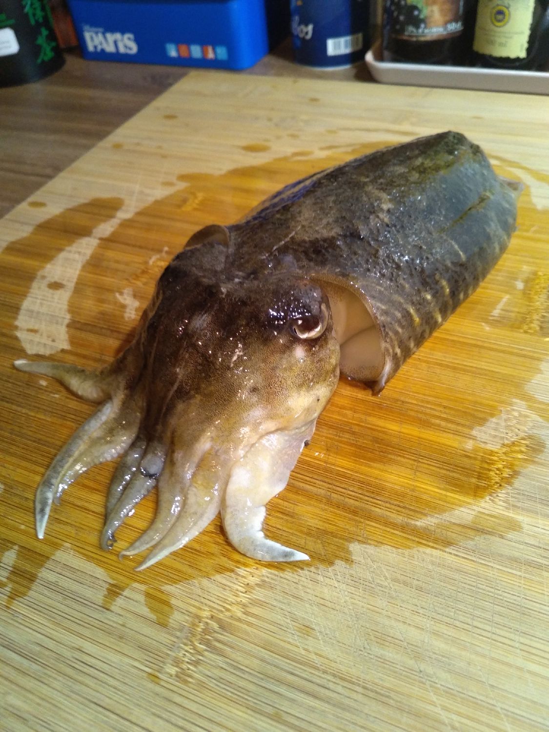 Esca Per Predatori D'acqua Dolce EGI OH LIVE Search 3.5 Shallow SAJ Facile Utilizzo - 5