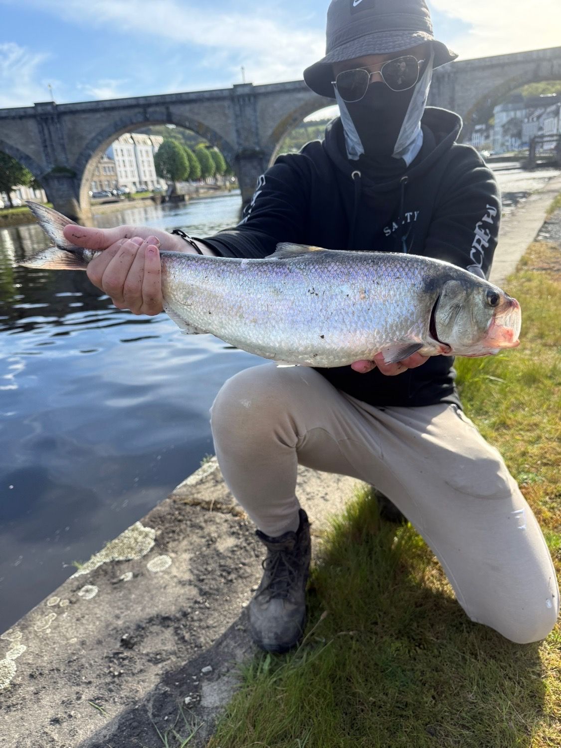 Last Shad caught