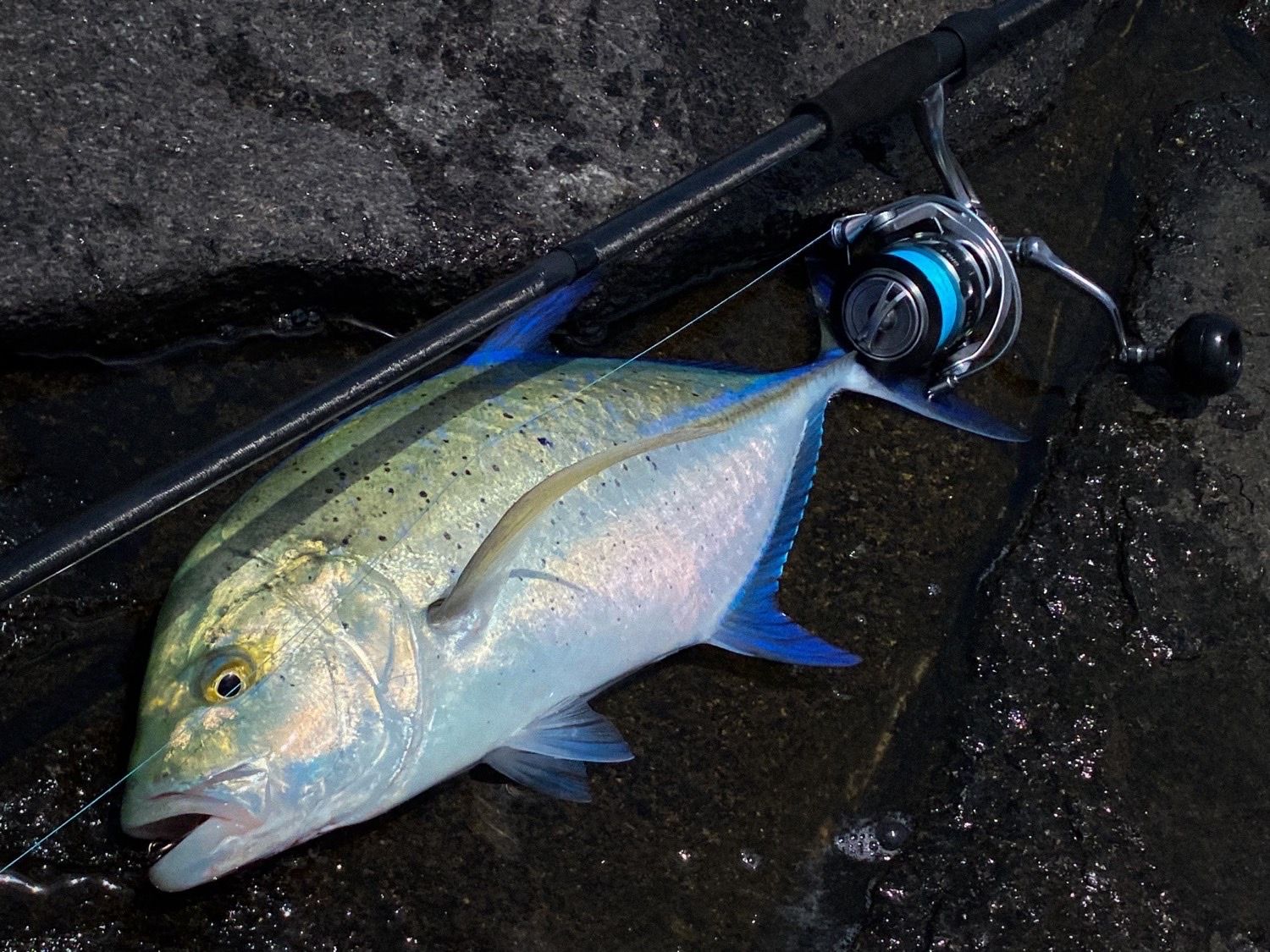 80 lb line fishing reel Zebco Stinger Spinning Reel