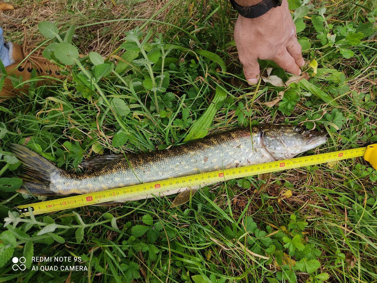 Mepps Aglia Long Gold #4 17g, 1 Stück