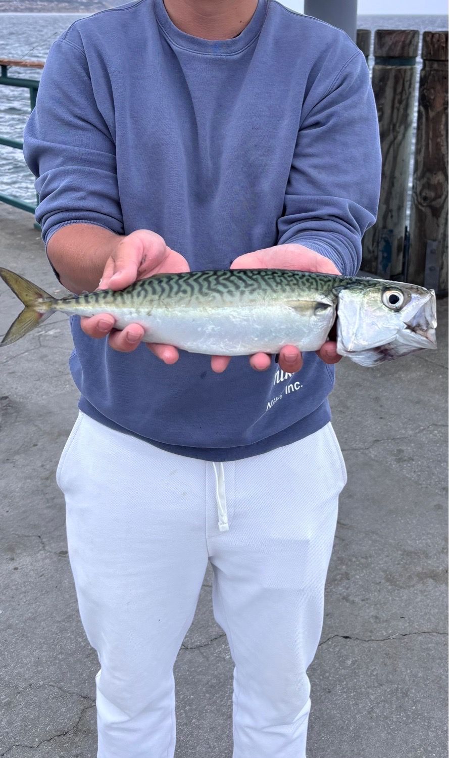 Realure Lot De 25 Petites Pêches Mixtes 8 Tailles Deep Sea Fishing Weights Absorted 2g 3g