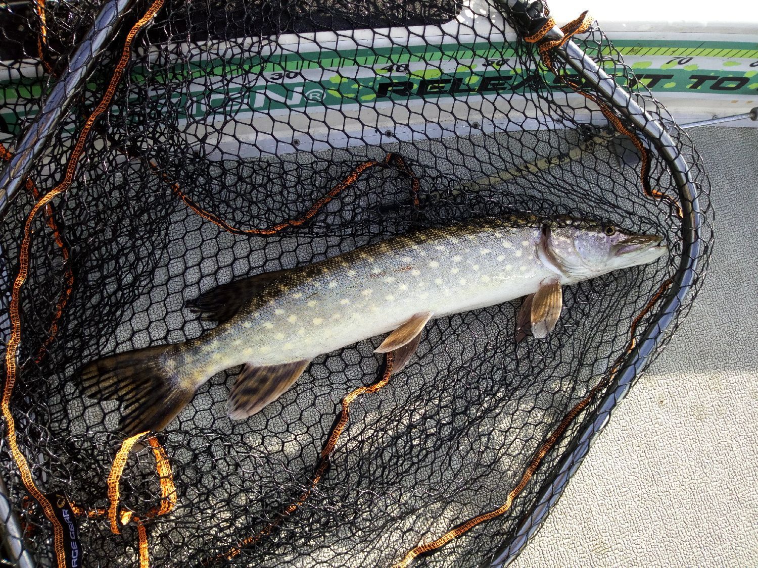 River2Sea WHOPPER PLOPPER 9CM PIKE