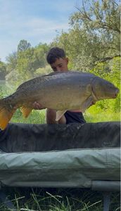 Leather Carp — Jordan Lievraz