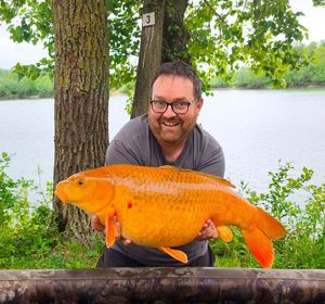 Koï Fish — Nicolas Dos Santos Pereira