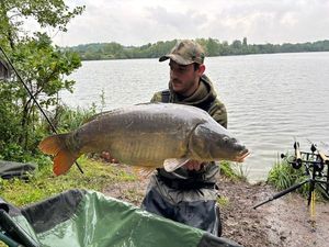 Mirror Carp — Romain Bailly