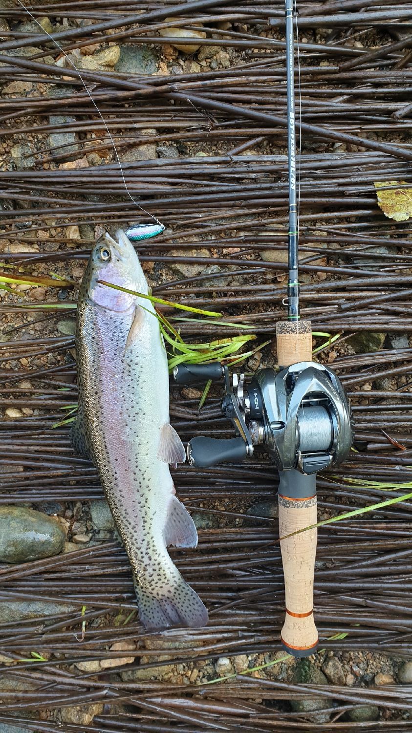 Bfs trout/chub fishing : r/BFSfishing