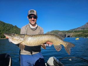 Northern Pike — Michael sztern