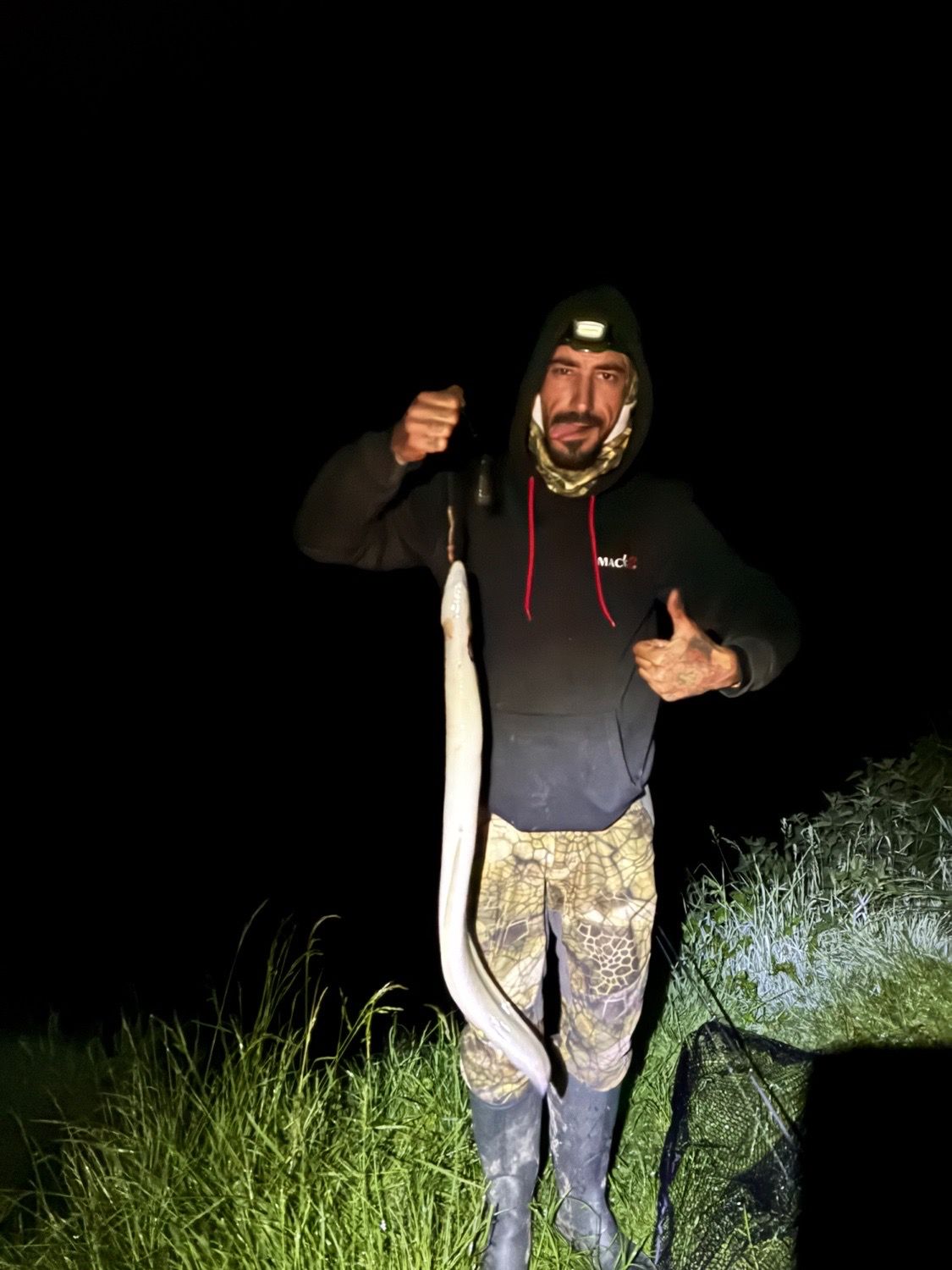 Last European Eel (Common Eel) caught