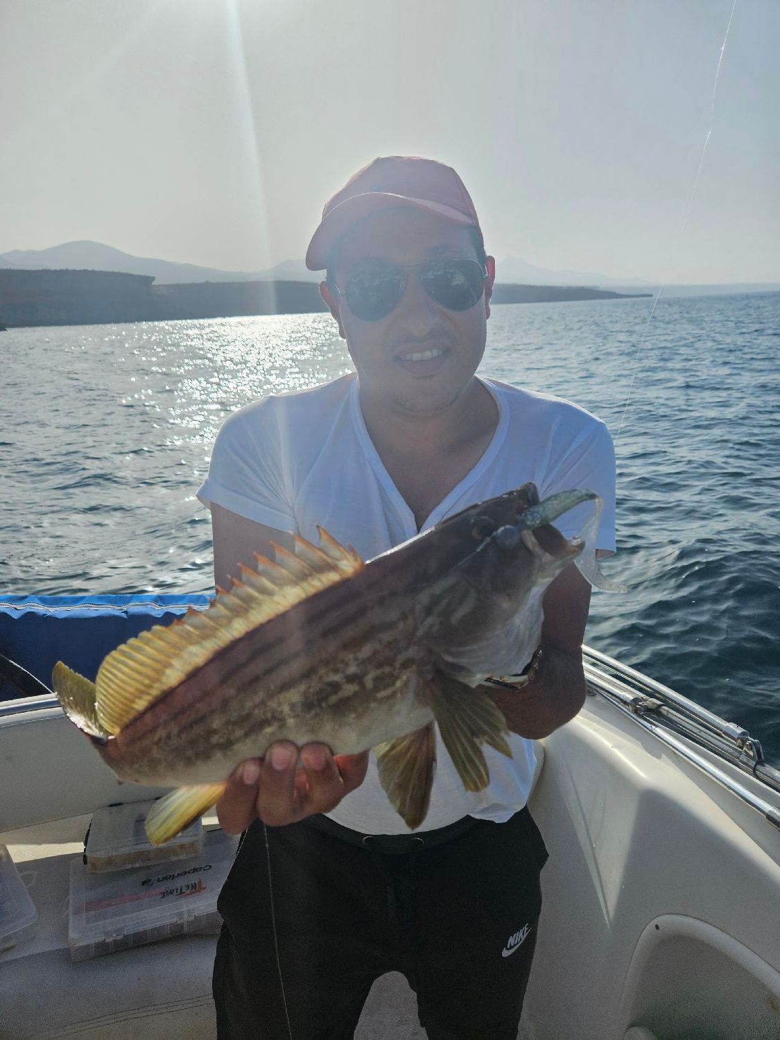 Last Black Grouper caught