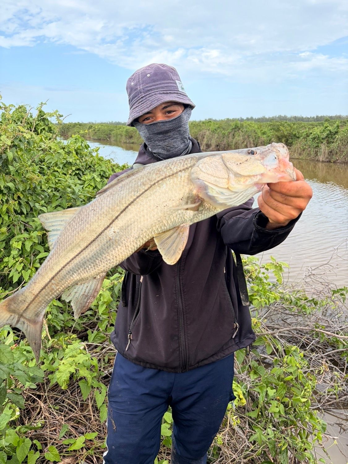 Last Atlantic Snook caught