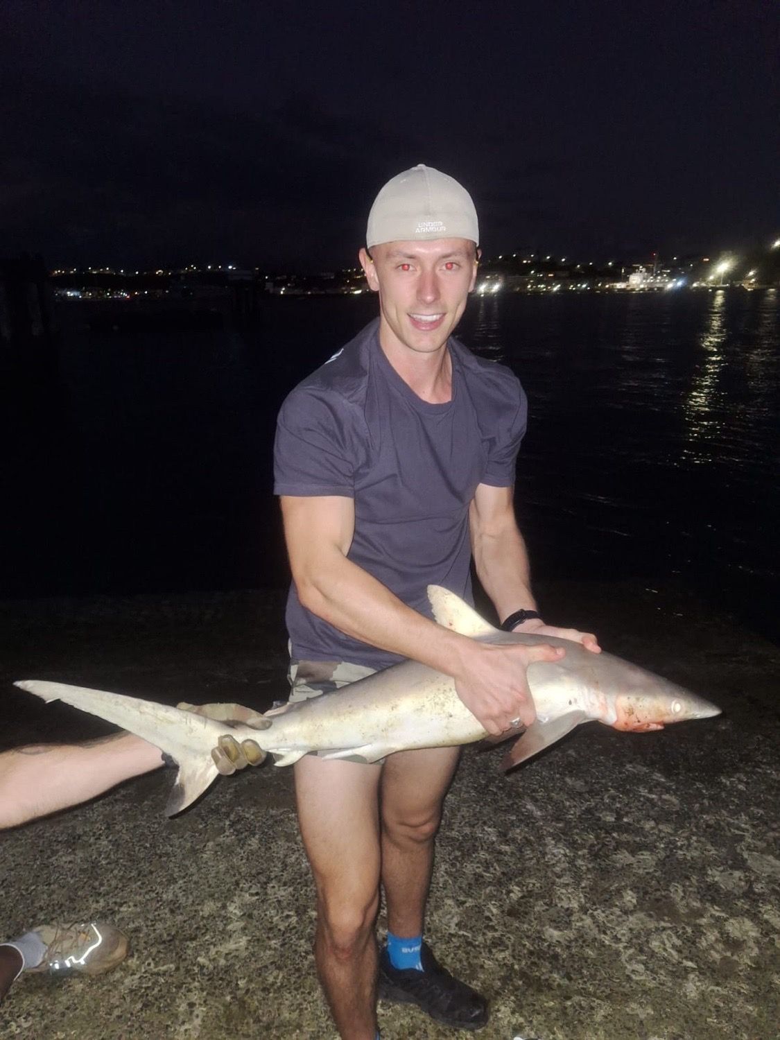 Species Card of Sandbar Shark