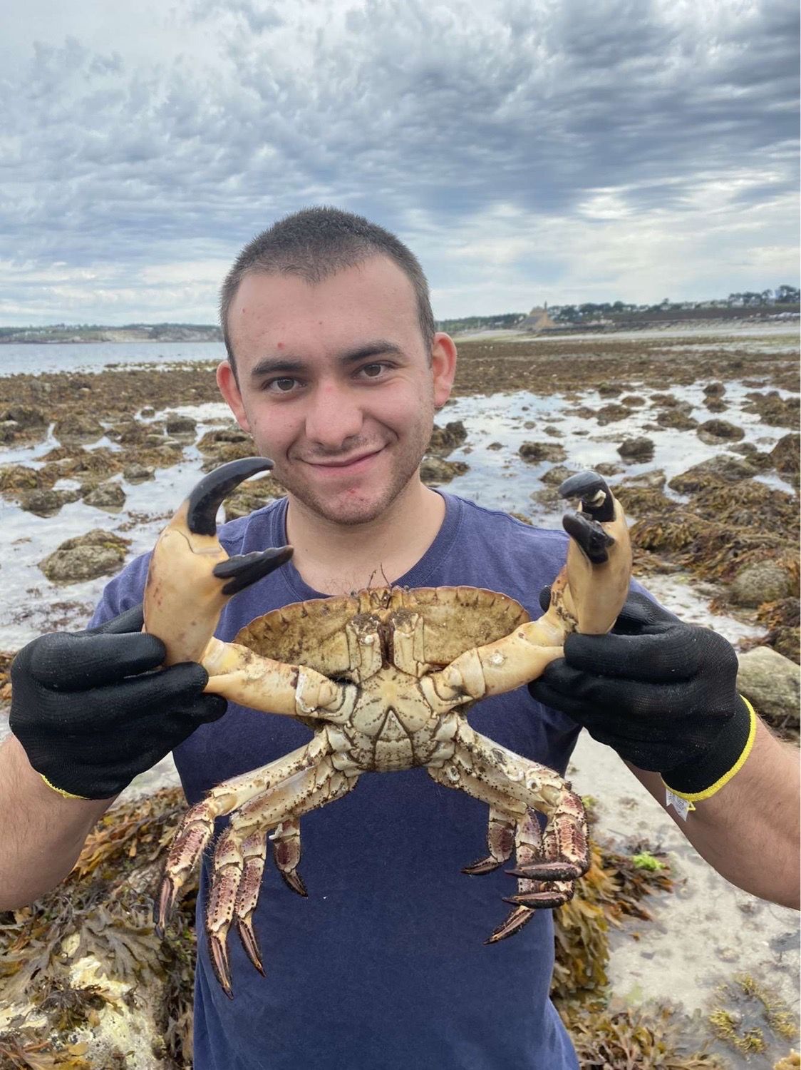 Last Brown Crab caught