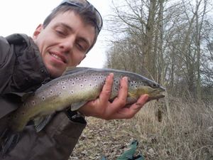 Brown Trout — Carna Sam