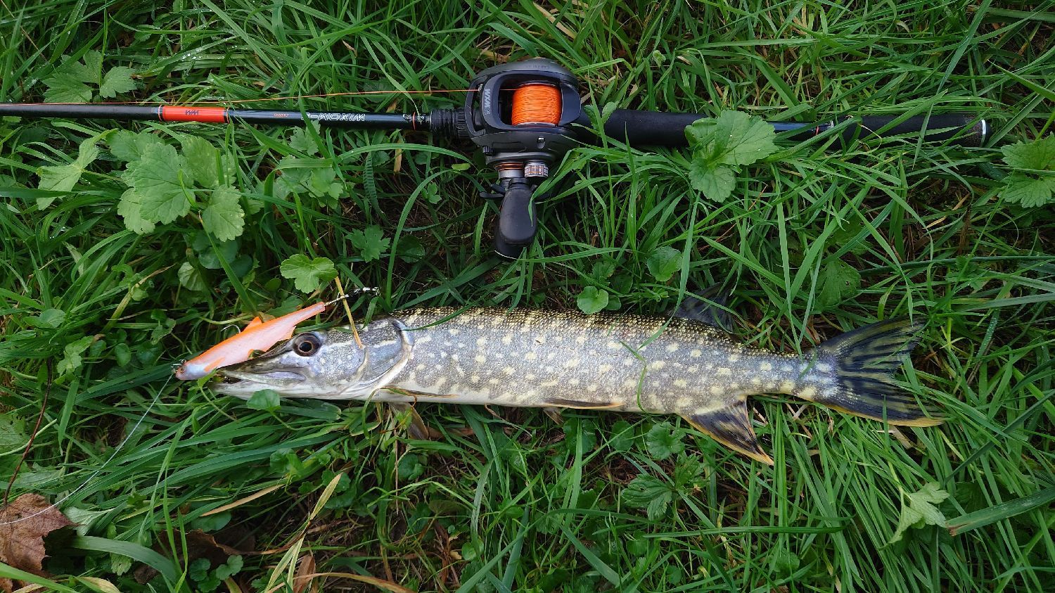 LEURRE SOUPLE SHAD A PALETTE PÊCHE AUX LEURRES ROACHSPIN 120 GARDON