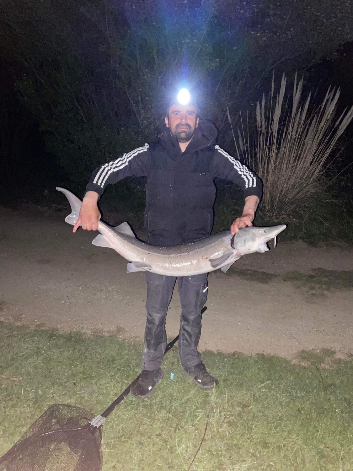 Best gear to fish Dabry's Sturgeon | (Acipenser Dabryanus) | FishFriender