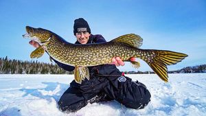 Northern Pike — Sacha Bosman Fishing