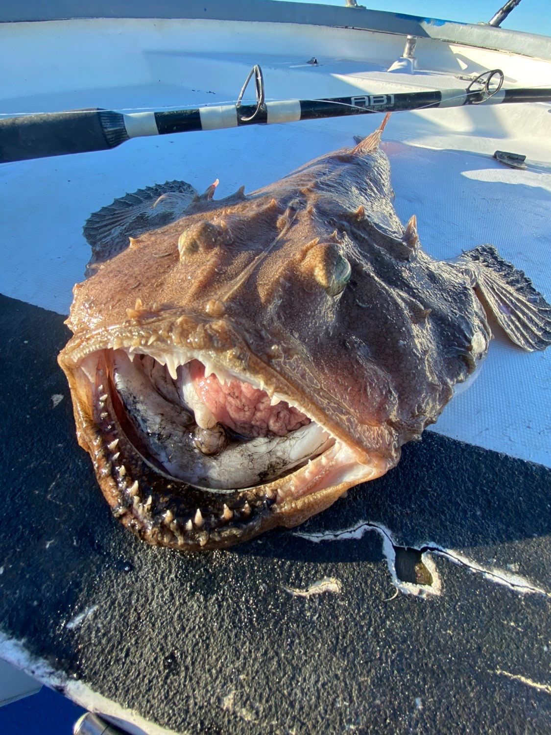 Light-Up Anglerfish Puppet | KiwiCo