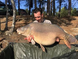 Mirror Carp — Vincent T