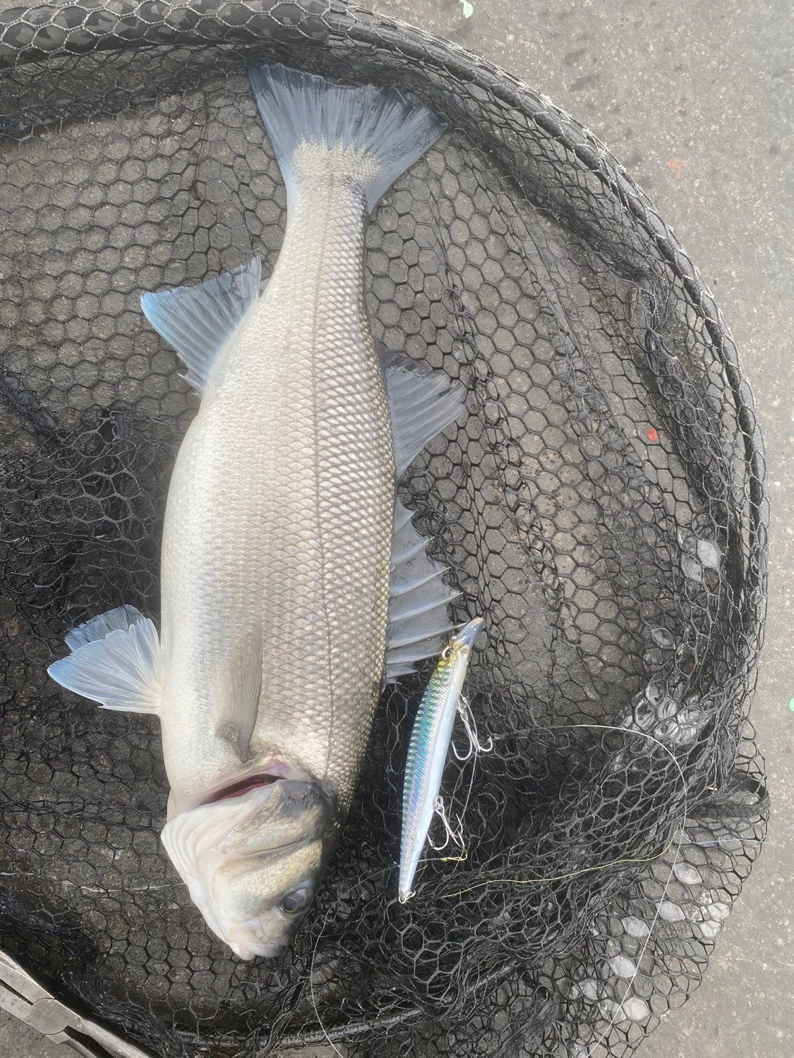 Acheter Leurre à suspendre Duo Realis Jerkbait 130SP AJO0091 (6666