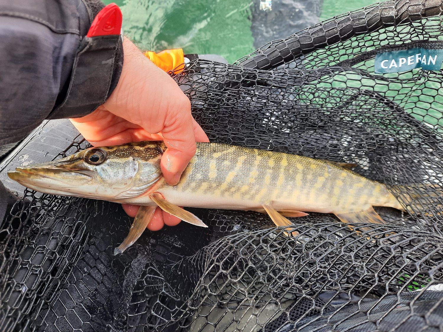 Best gear to fish Northern Pike, (Esox Lucius)