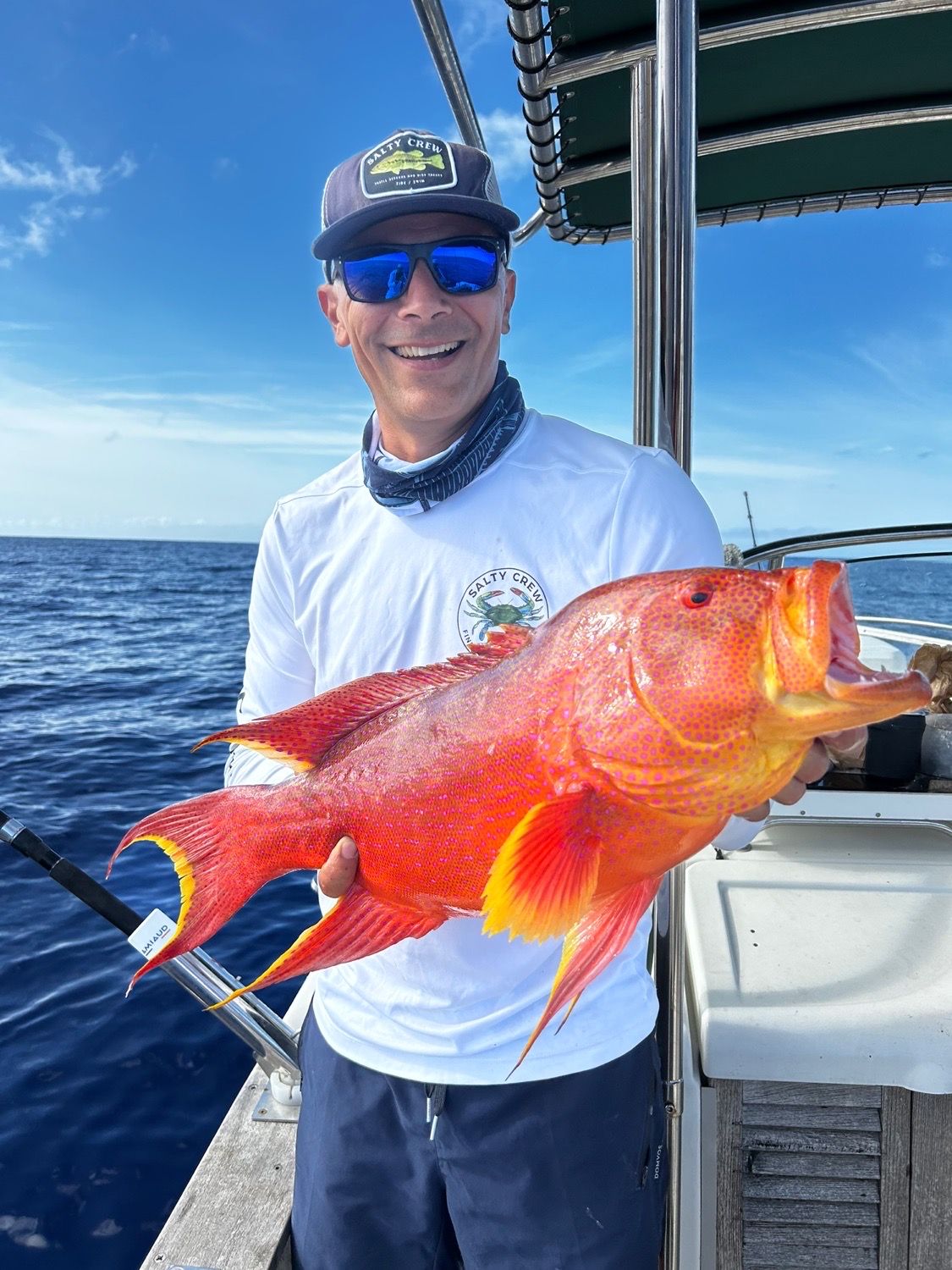 Last Yellow-Edged Lyretail caught