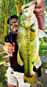 Largemouth Bass — Yoni Vaissieres