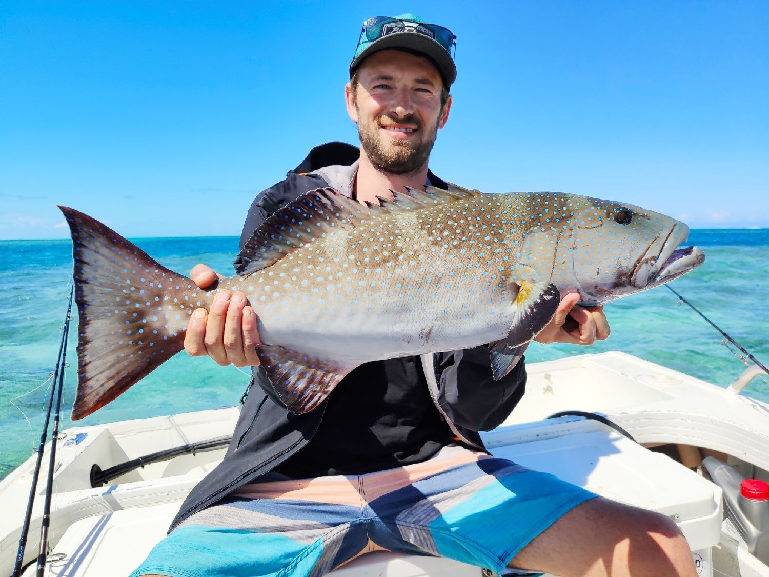 Last Blacksaddled Coralgrouper caught
