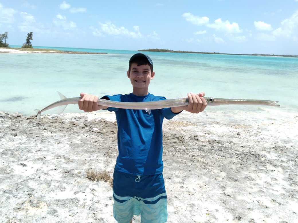 Last Trumpetfish caught