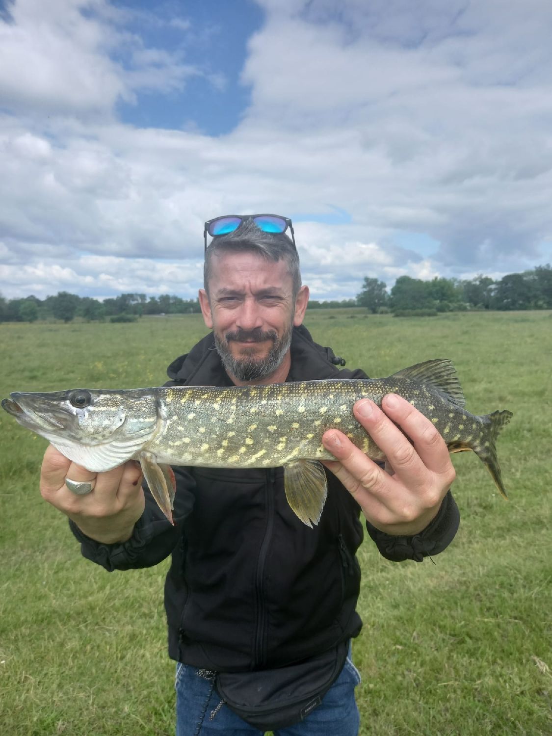 LEURRE SOUPLE SHAD A PALETTES PÊCHE AUX LEURRES ROACHSPIN 150 GARDON