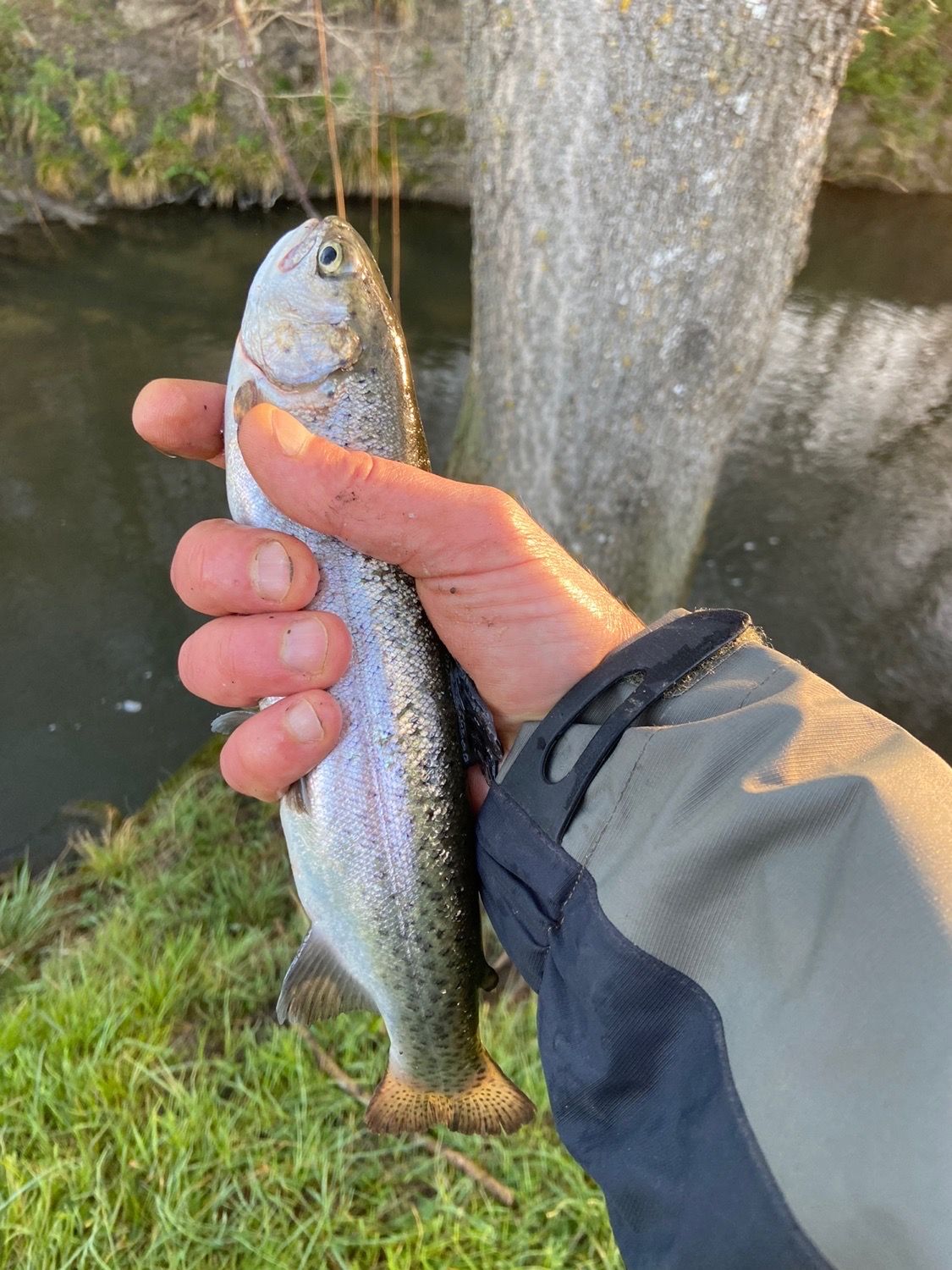 Fishing Wallpaper -  UK