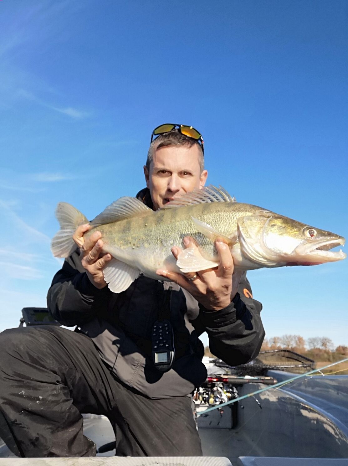 Deps Sakamata Shad  Fisherman's Warehouse