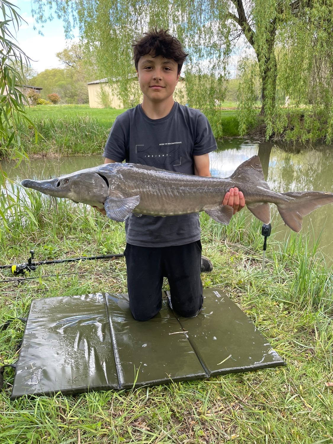 Last European Sturgeon caught