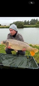 Common Carp — Carlito Fish