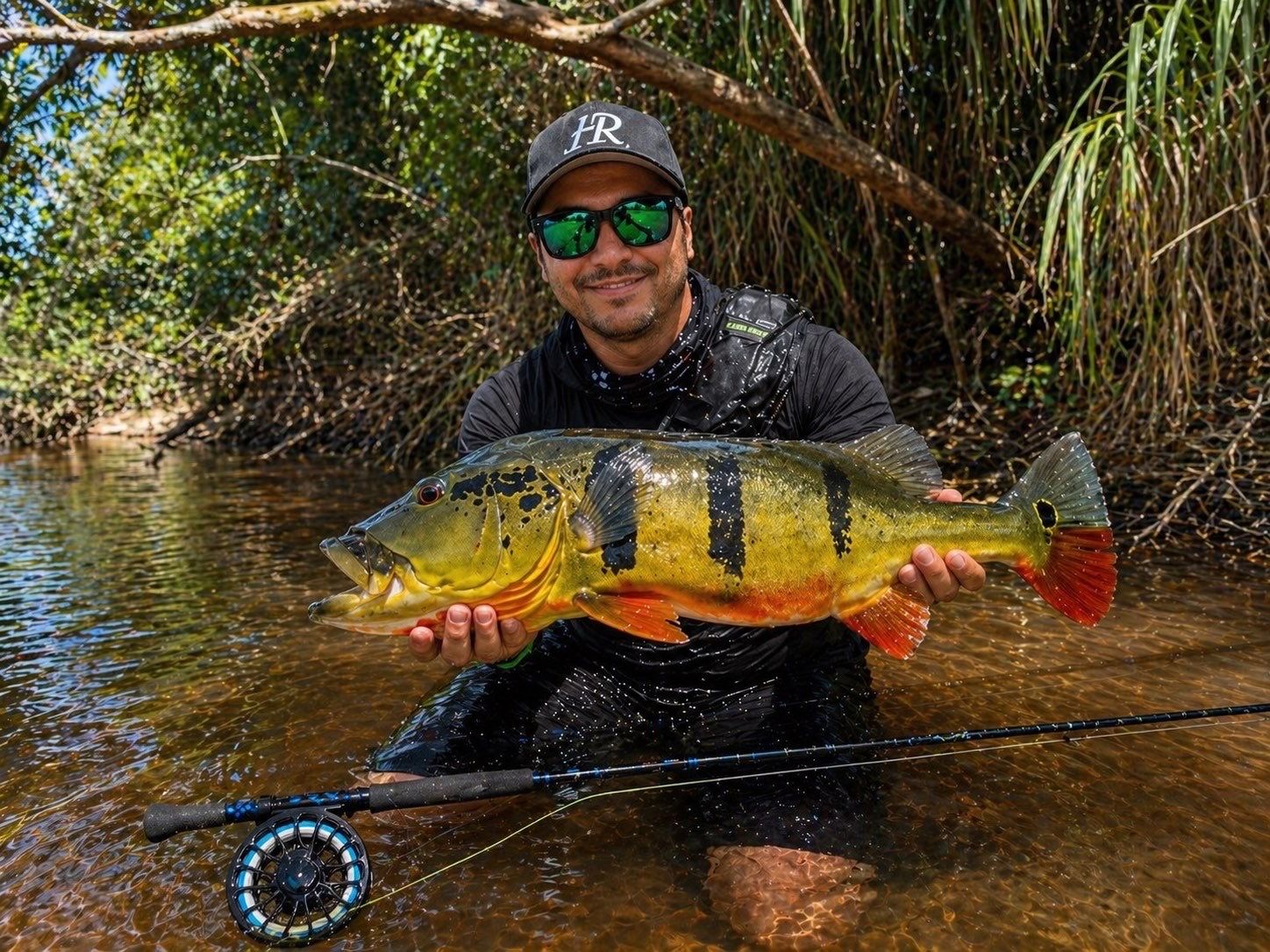 Species Card of Peacock Bass ( Monoculus)