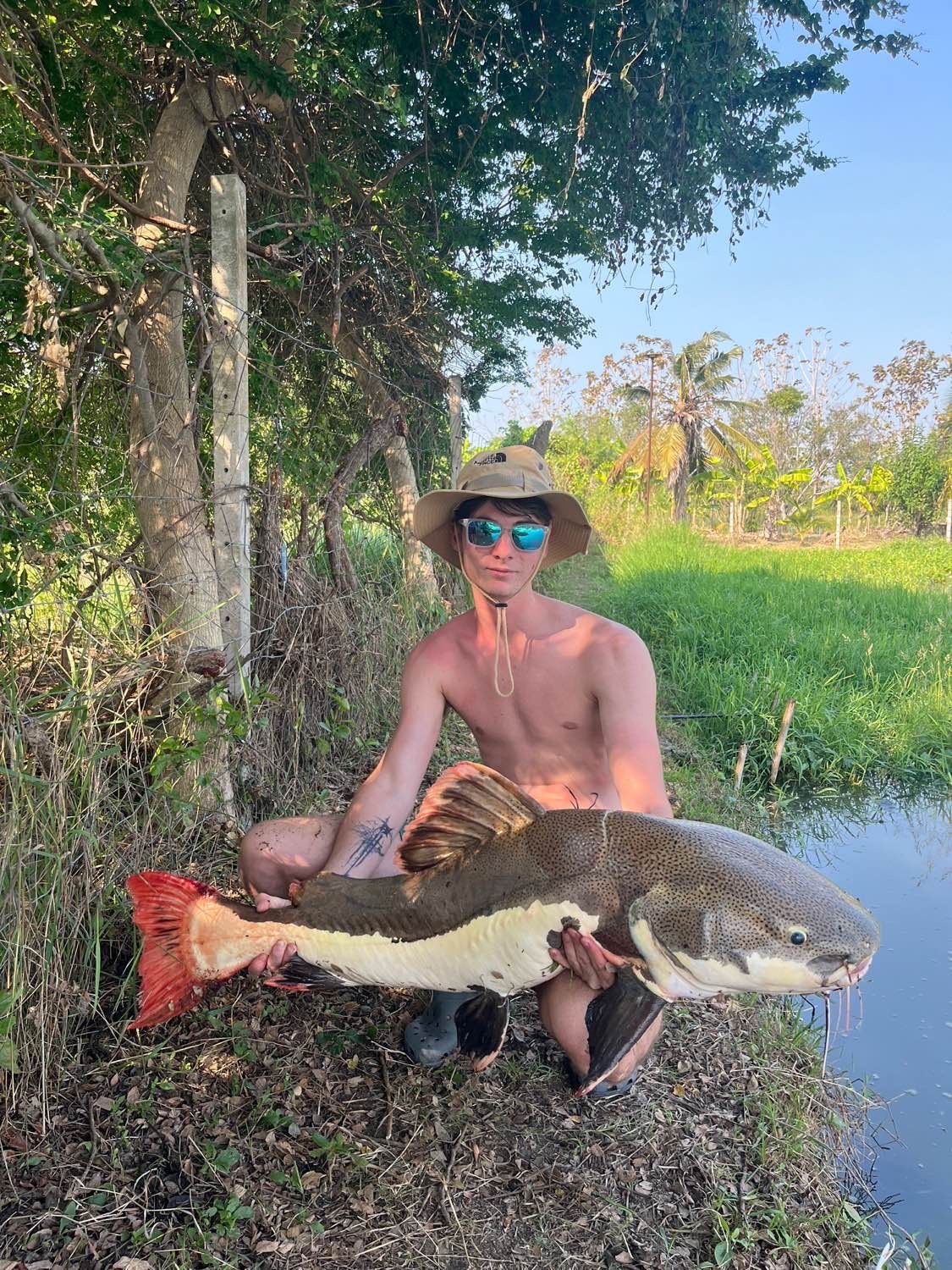 Last Redtail Catfish (Pirarara) caught