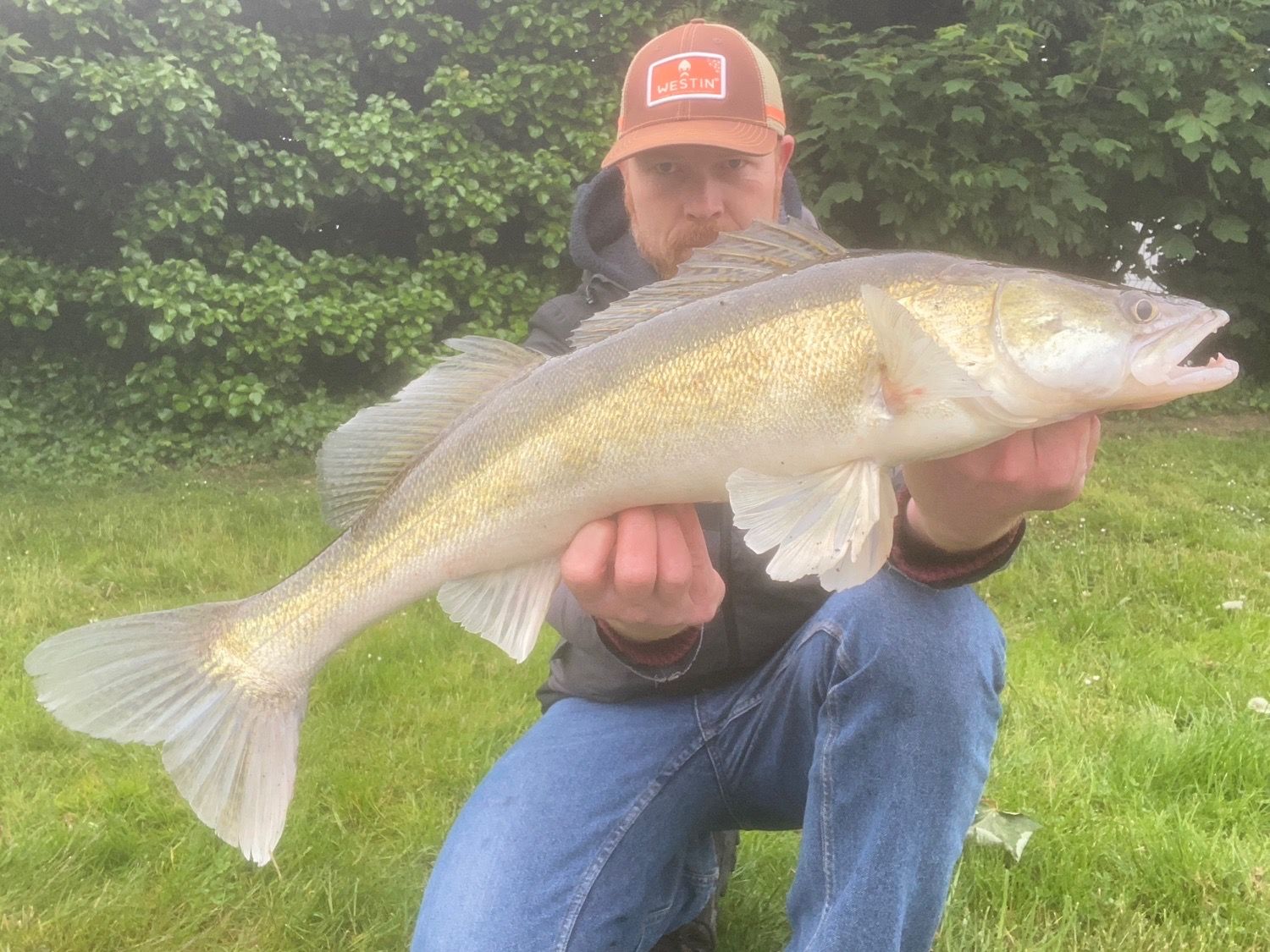 Last Zander caught