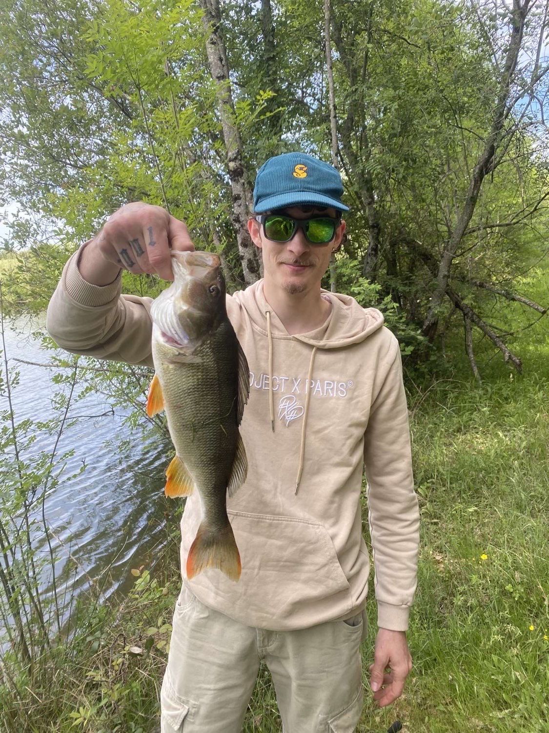 Last Yellow Perch caught