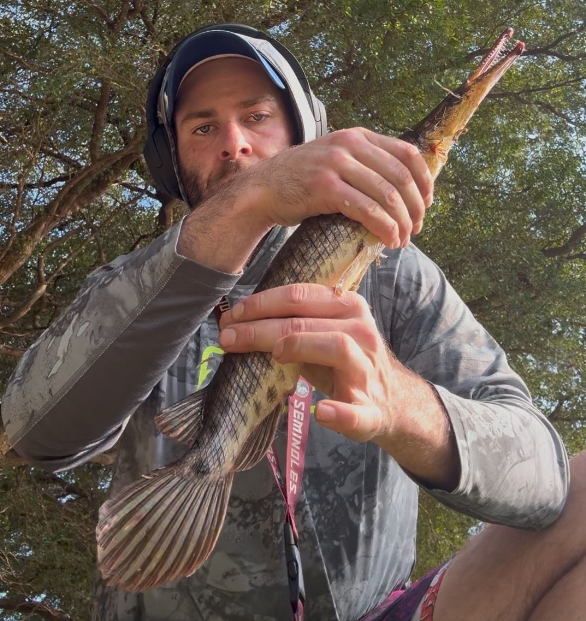 Species Card of Florida Gar
