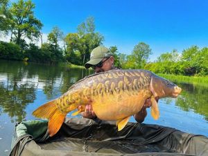 Mirror Carp — Matteo Kajmovic