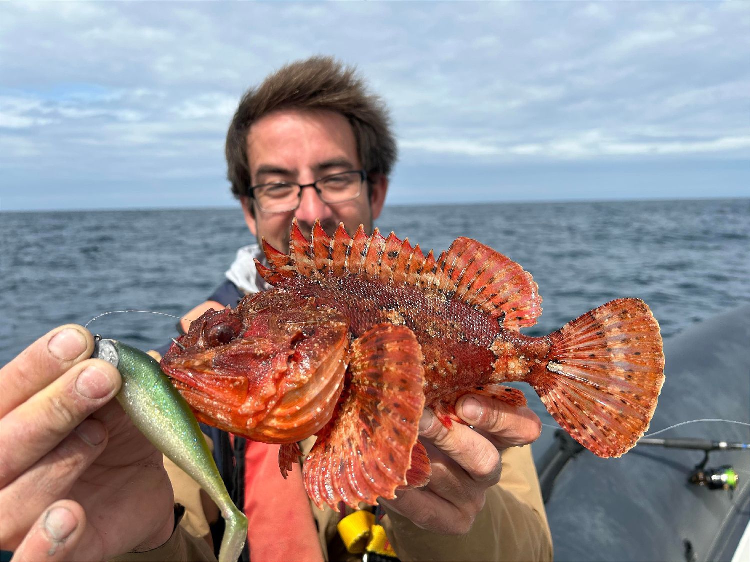 red scorpion fish