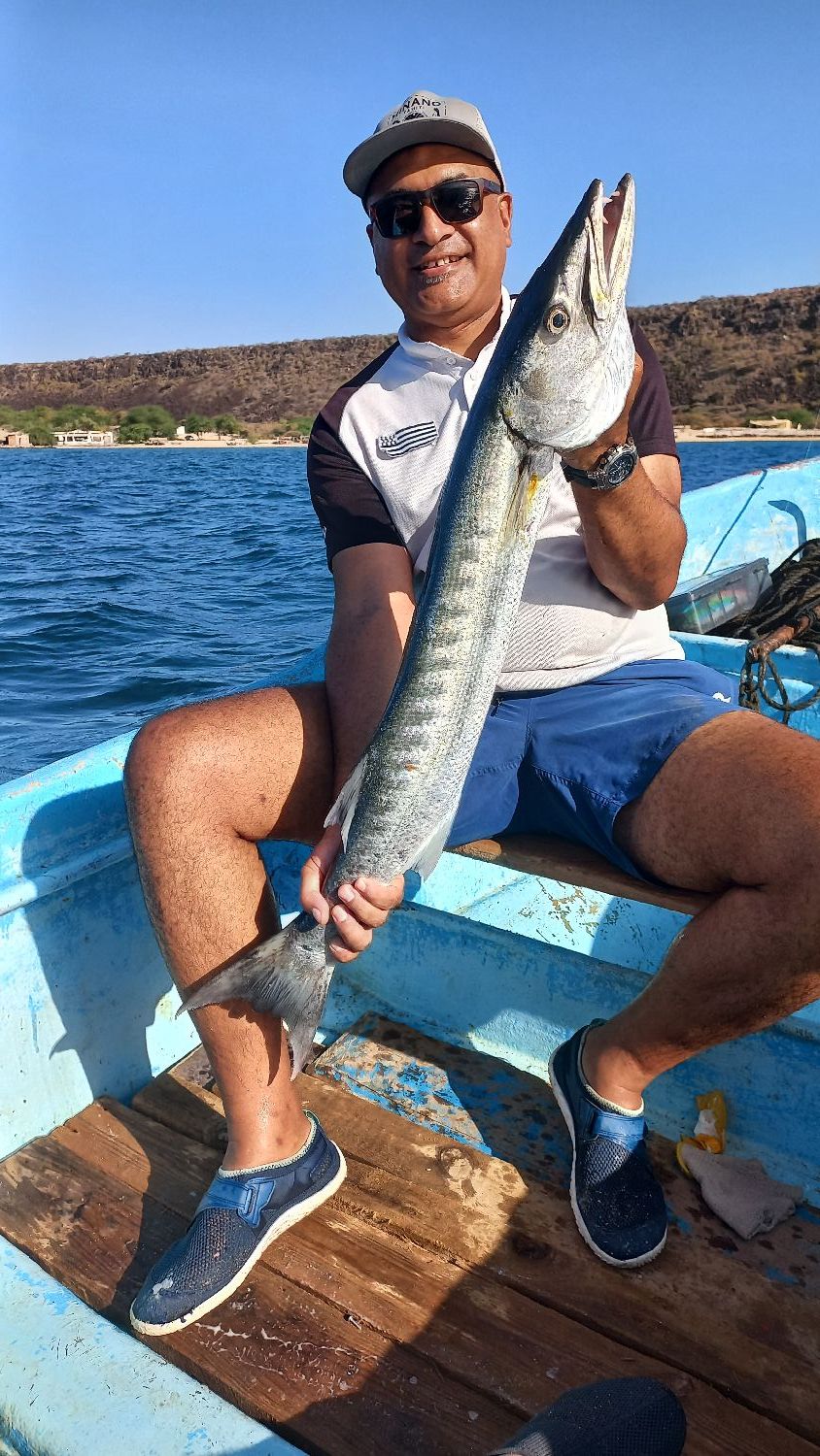 Barracuda Other Fishing Equipment for sale