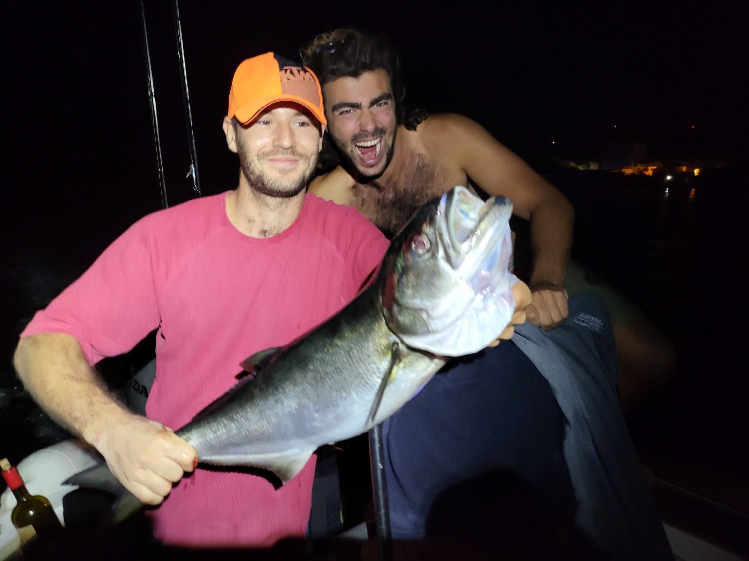 Last Bluefish caught | (Pomatomus Saltatrix) | FishFriender