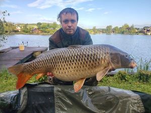 Common Carp — Florent Corbiere