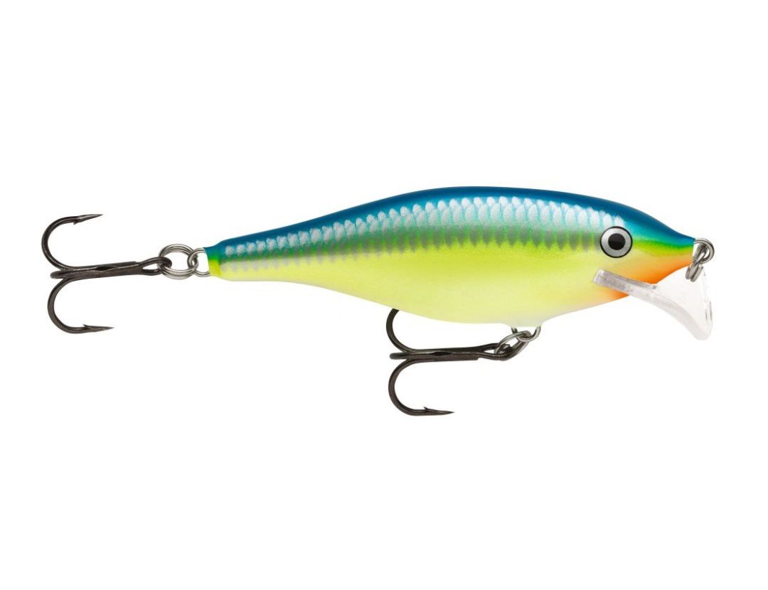 SCATTER RAP SHAD SCRS05 CARIBBEAN SHAD