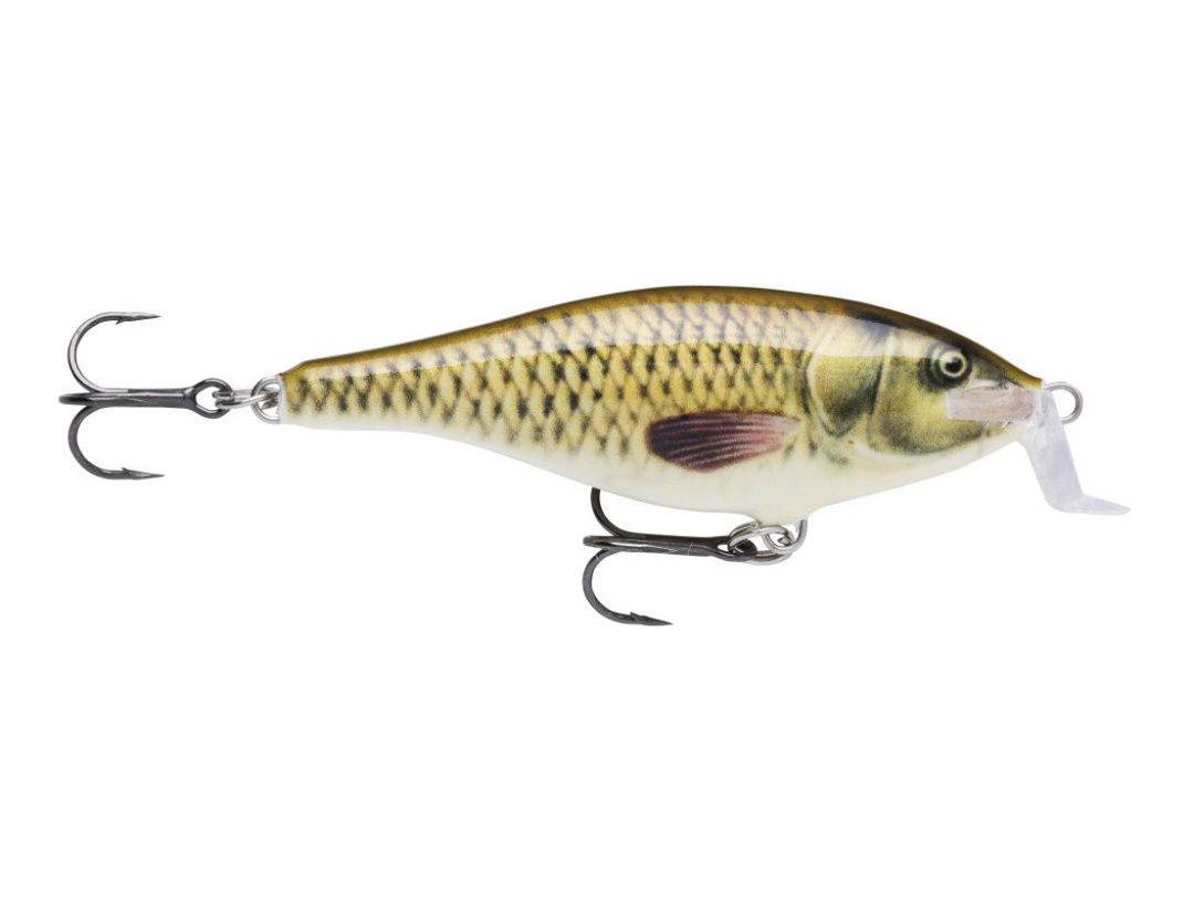 SHALLOW SHAD RAP SSR07 CARP SHALLOW SHAD RAP SSR07 CARP