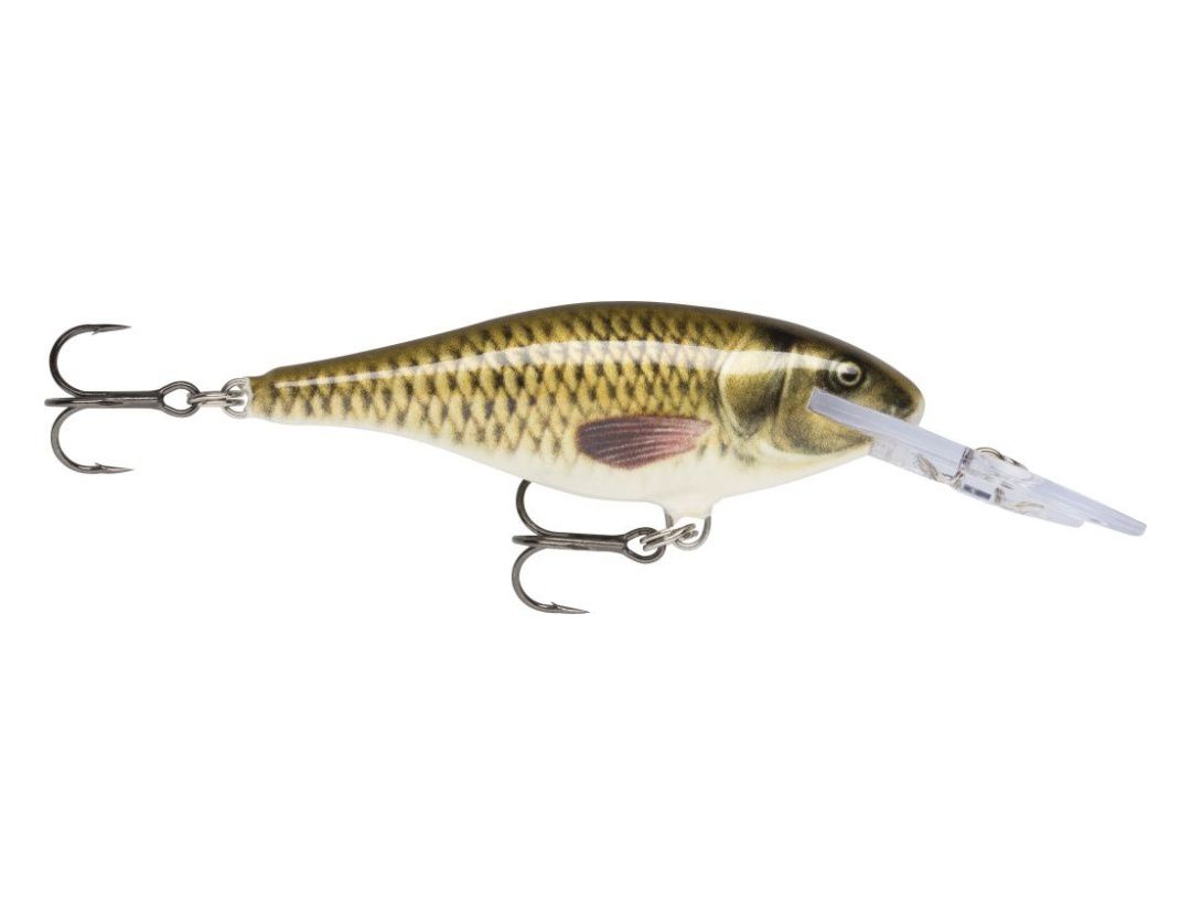 SHAD RAP SR05 CARP