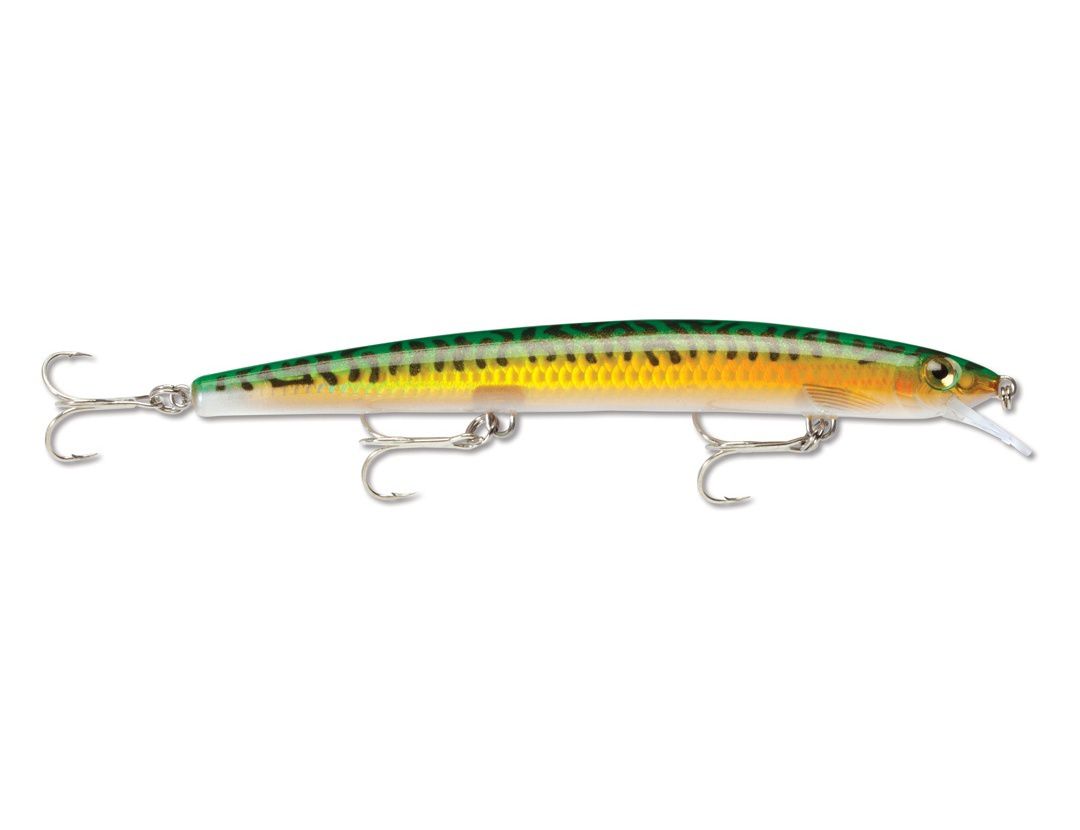 MAXRAP MXR17 FLAKE GOLD GREEN MACKEREL