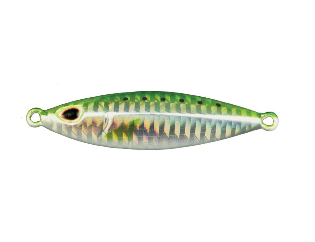 GOMOKU KOIKA KOIKA40 GREEN SARDINE