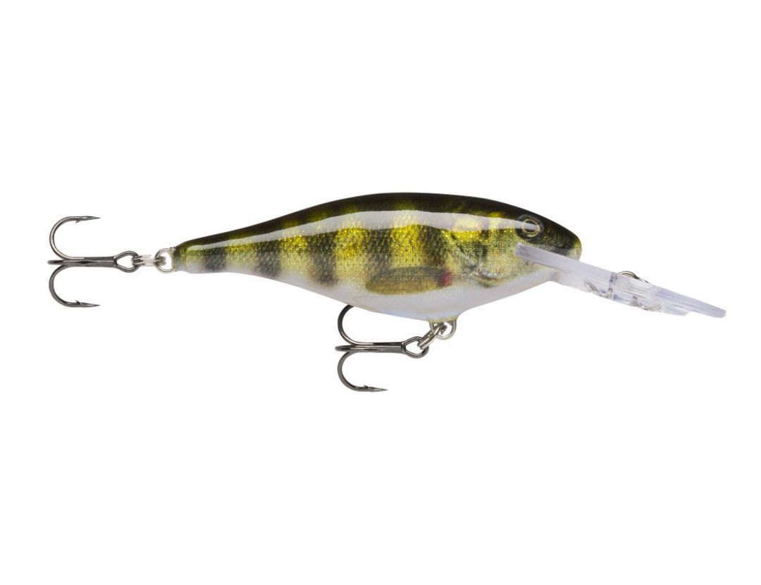 SHAD RAP SR07 LIVE PERCH